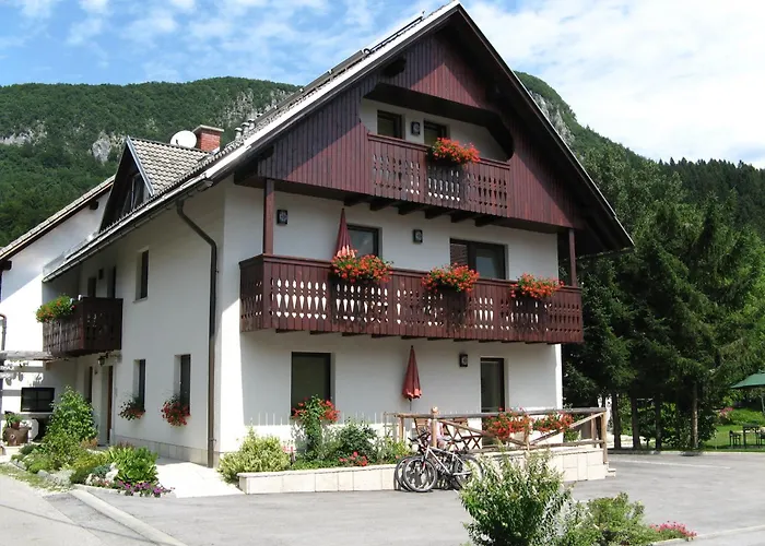Apartments Na Vasi