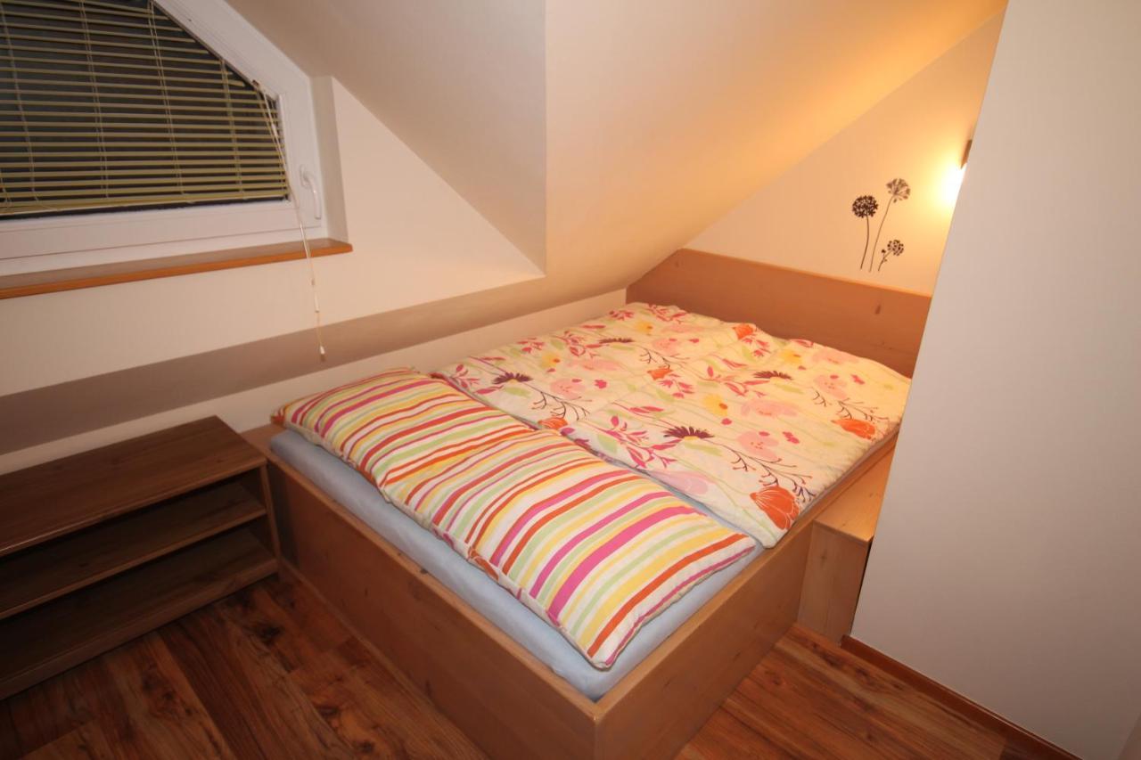 Apartment Na Vasi *
