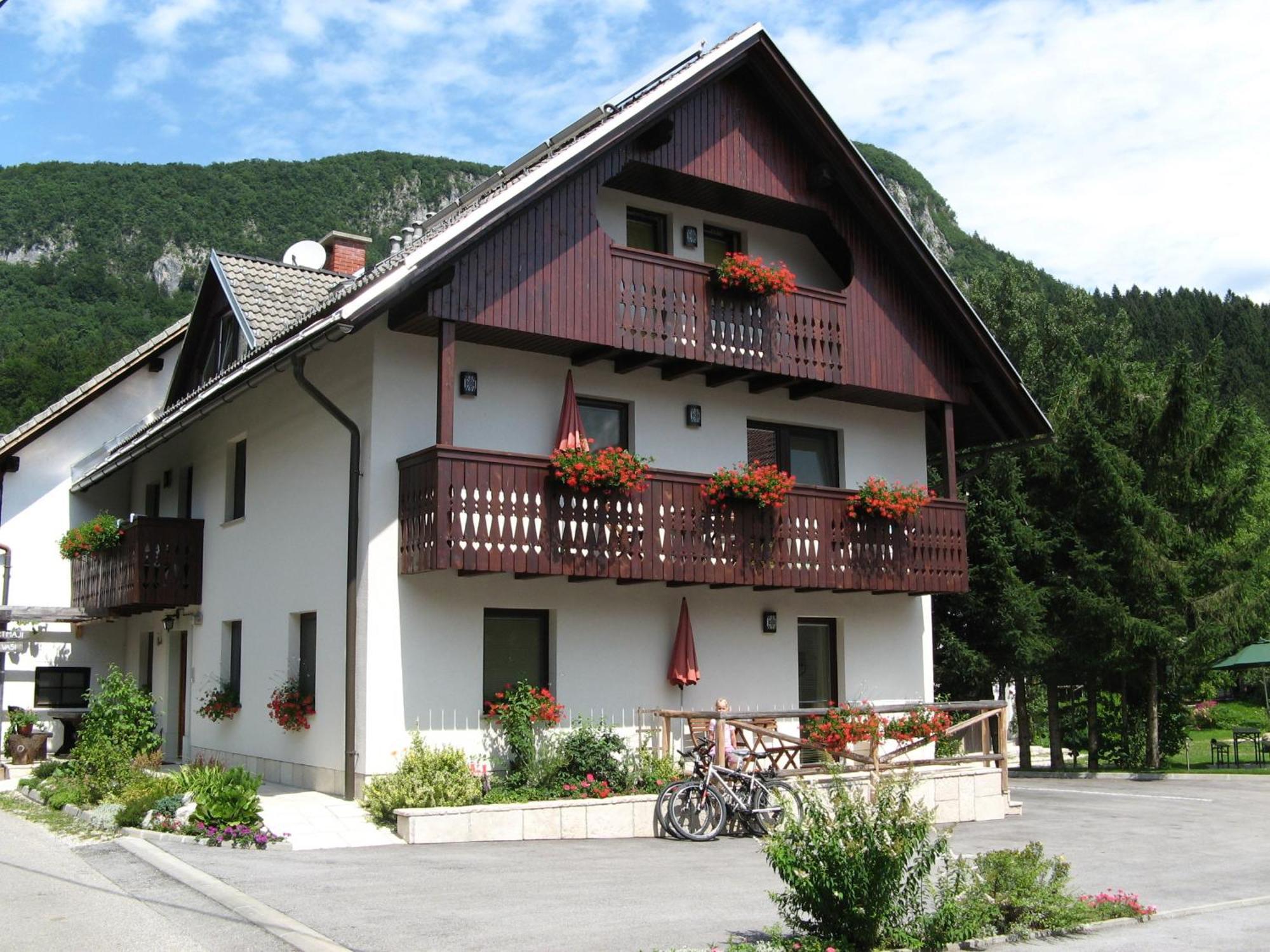 Apartment Na Vasi Bohinj