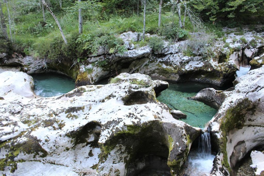 Na Vasi Apartment Bohinj