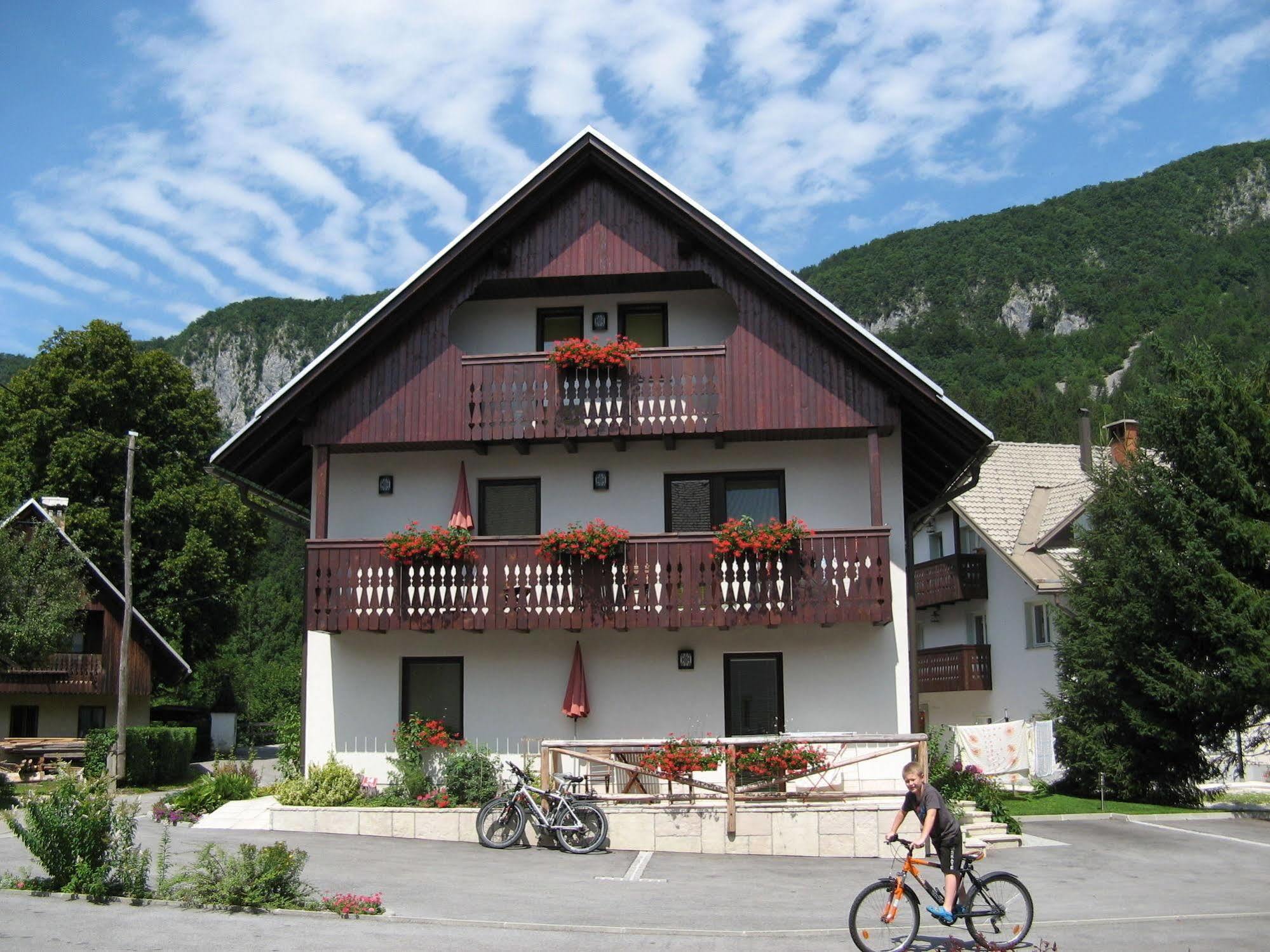 Na Vasi * Bohinj