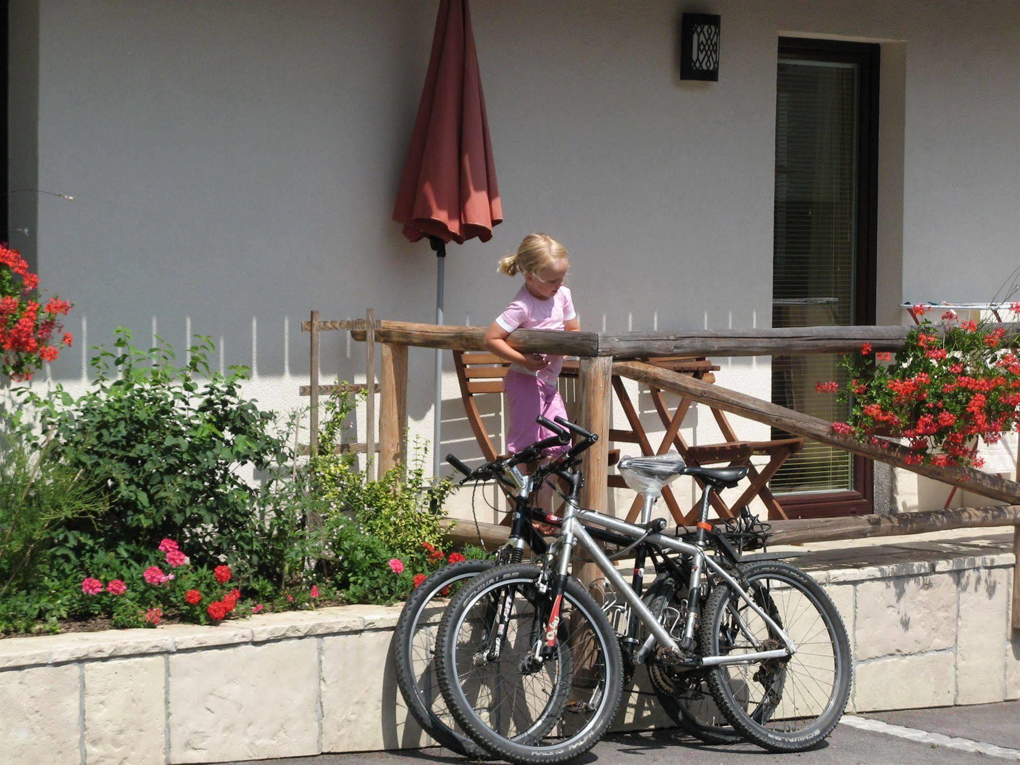 Na Vasi * Bohinj